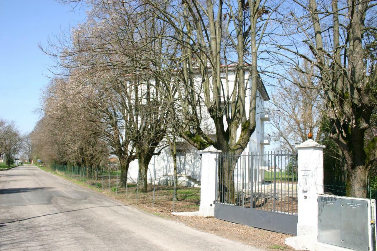 San Vicenzo di Galliera Villa Dei Tigli מראה חיצוני תמונה